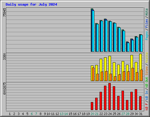 Daily usage for July 2024