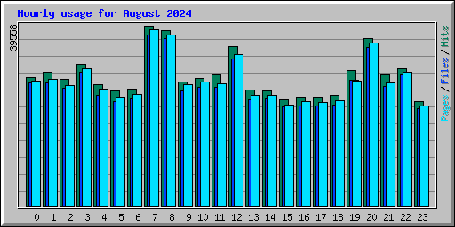 Hourly usage for August 2024