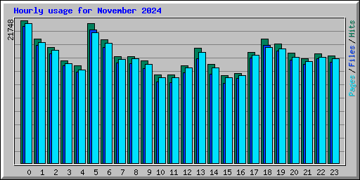 Hourly usage for November 2024